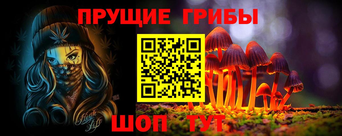 Избербаш  Галлюциногенные грибы Psilocybe  продажа наркотиков  Вход с VPN 